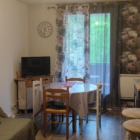 Appartement Avec Vue Sur La Montagne Bagnères-de-Luchon Extérieur photo